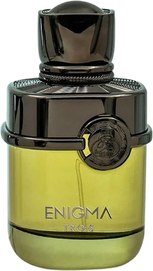 French Avenue Enigma Trois Eau de Parfum 100 ml v:6832044