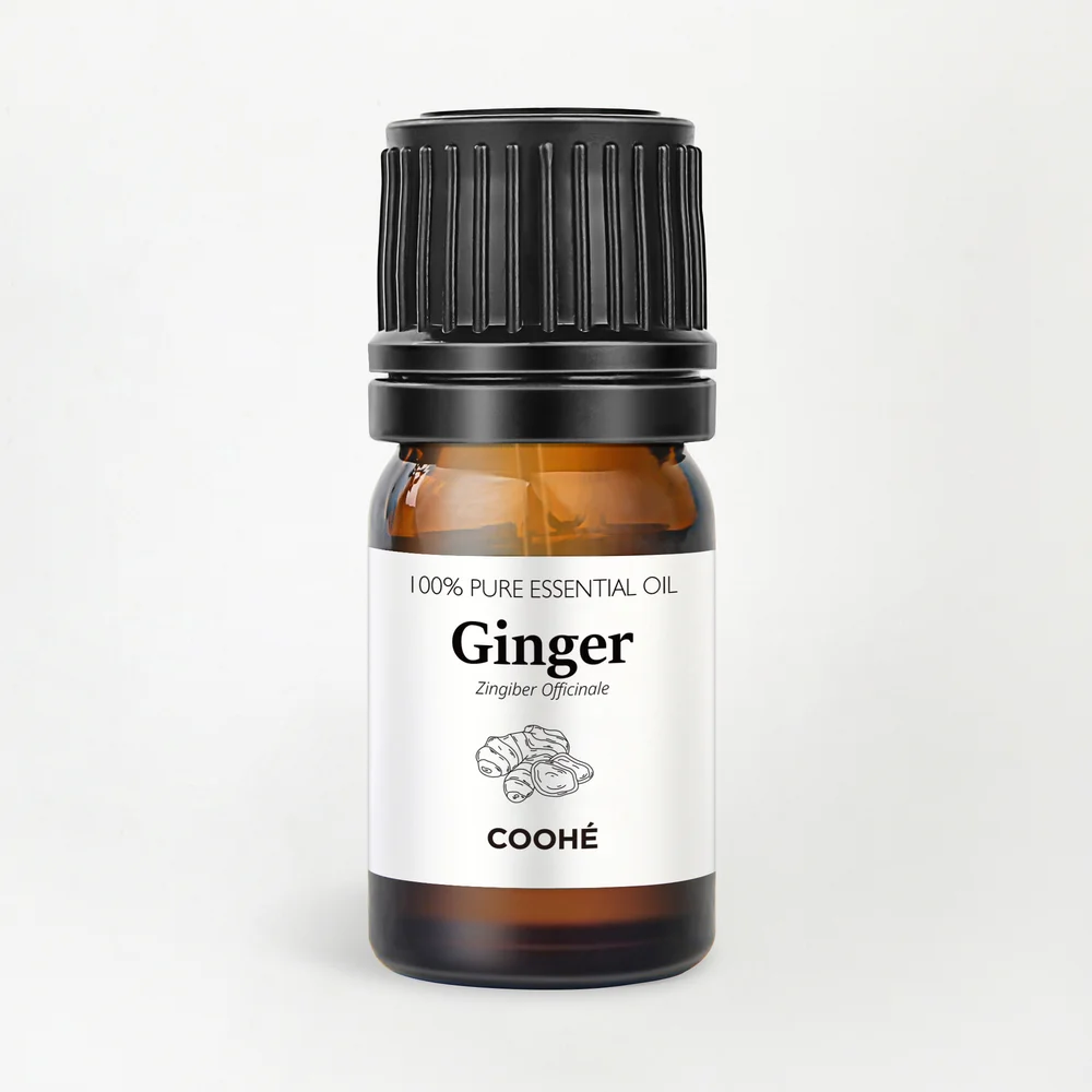 Ginger Essential Oil 5 ml – COOHÉ v:7229375