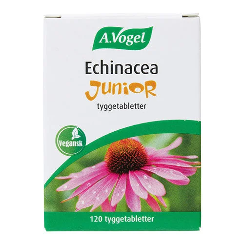 Echinacea Junior v:7286573